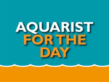 Image for: Aquarist for a Day 